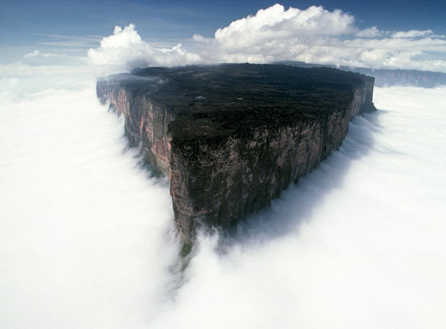 Núi Roraima ở Venezuela: Trên đỉnh núi này hầu như ngày nào cũng có mưa, những cơn mưa đã rửa trôi, xói mòn hết tất cả các chất dinh dưỡng trong đất làm cho cây cối kém phát triển hoặc phát triển rất kỳ dị –tạo nên một khung cảnh vô cùng đặc biệt tại nơi đây.